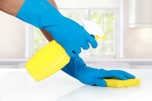 Trusted home cleaners in Balham preparing a tidy, fresh home
