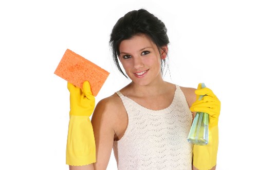 Local cleaning company maintaining a fresh and tidy interior space