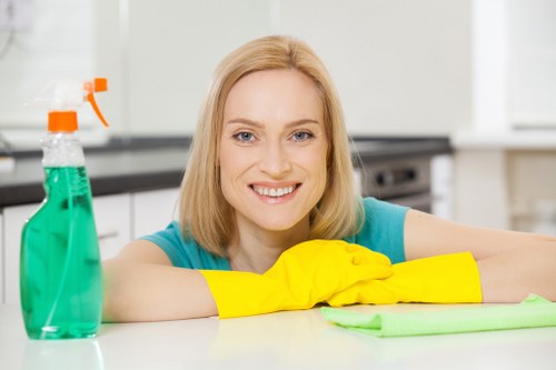 Commercial cleaners maintaining an office workspace in Balham
