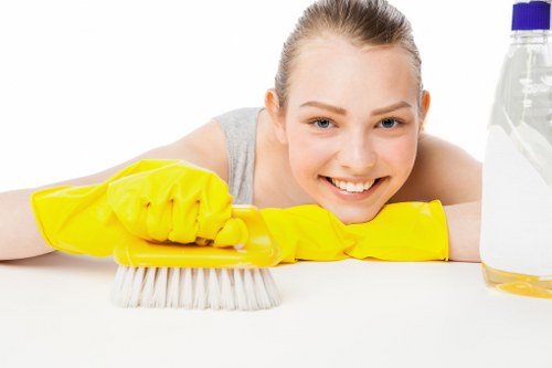 Kitchen appliance cleaning service in Balham for family homes