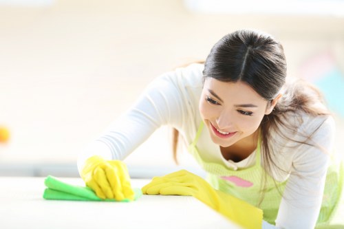 Balham cleaning services refreshing a bright modern living space