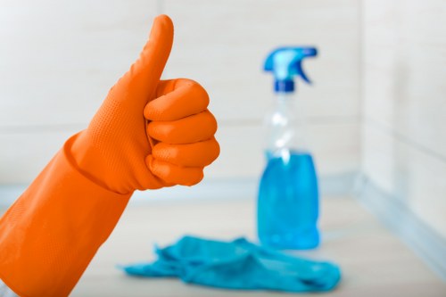 Balham cleaning professional checking a room for safety risks