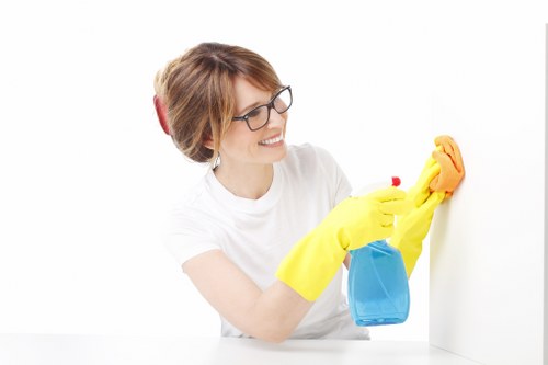 Deep cleaning supplies and tidy living room for tenancy move-out in Balham