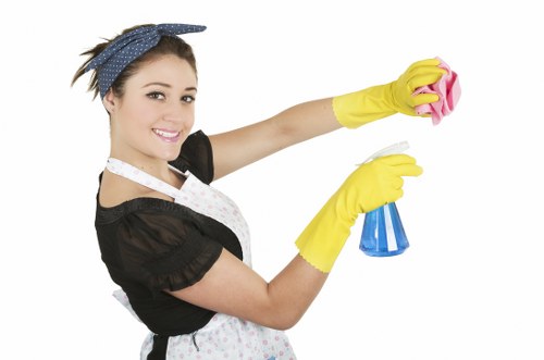 Cleaner washing windows on a Balham home with care and precision